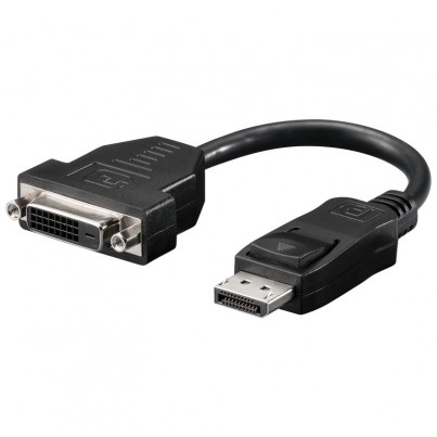 Adaptateur DisplayPort / DVI-I cordon 15cm